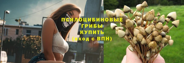прущий лед Арсеньев