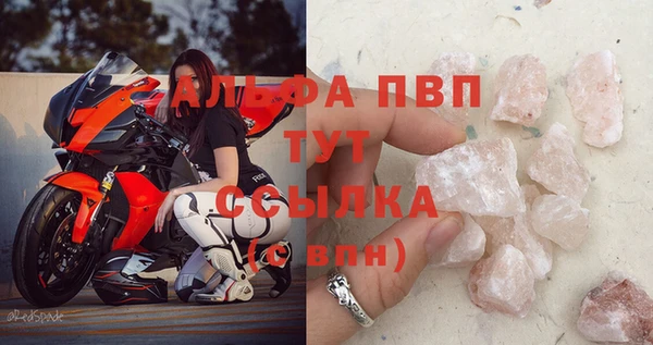 mdpv Бородино